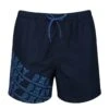 DKNY Anguilla Swim Shorts Navy 1 DKNY Anguilla Swim Shorts Navy -Cheap Class Garb Store l5 6005 dky anguilla navy 1